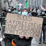 Non à la privatisation rampante et au démantèlement de l'Office National des Forets